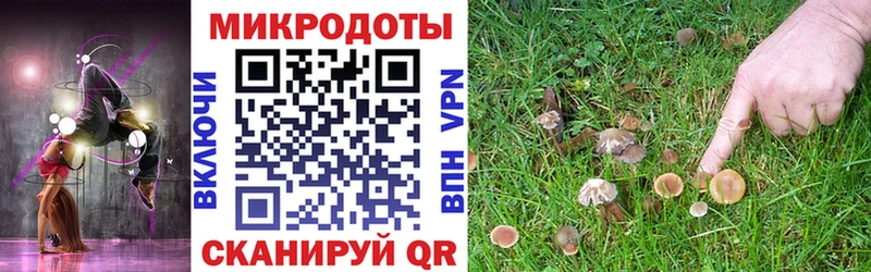 Псилоцибиновые грибы Magic Shrooms  Калязин 