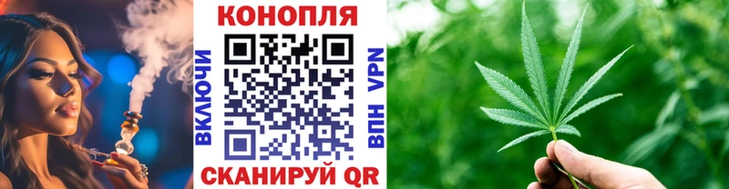 где можно купить   Калязин  Бошки Шишки SATIVA & INDICA 
